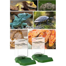 Reptile Water Bottle Automatic Reptile Water Dish With Bottle Tortoise Turtle Water Dispenser For Bearded Dragons Lizards