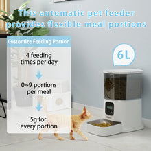 Iseebiz 3L Automatic Pet Feeder With Voice Record Pets Food Bowl For Medium Small Dog Cat LCD Screen Dispensers 4 Times One Day