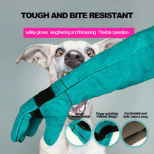 Animal Anti-Bite Gloves Durable Leather Protective Handling Gloves 45/60cm Length Cutting-proof And Anti-thorn Pet Handling Tool