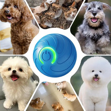 Active Rolling Ball For Dog Puppy Touch Activated Smart Rotating Ball Pet Supplies Electronic Dog Toy Ball For Playing Grasping