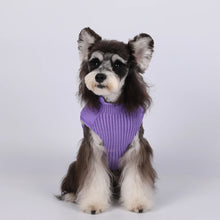 Winter Dog Clothes For Small Dog Warm Pet Dog Coat Jacket Adjustable Padded Vest Puppy Outfit Yorkie Chihuahua Apparel Clothing
