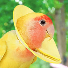 Soft Bird Collars Parrot Anti Bite Collar Breathable Anti Bite Cone Collar Soft Protective Collar Comfortable Soft Neck Collar
