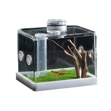 Spider Cage Reptile Hatching Box Fish Breeding Tanks Fish & Aquatic Pets Breeding Tanks Reptiles & Amphibian Supplies Enclosure