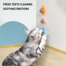 Cat Wall Stick-on Ball Wall Mount Cat Mint Balls Edible Cat Catnip Licking Ball Cat Wall Treats Teeth Cleaning Cat Bite Toy