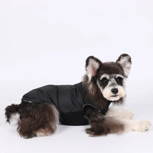 Winter Dog Clothes For Small Dog Warm Pet Dog Coat Jacket Adjustable Padded Vest Puppy Outfit Yorkie Chihuahua Apparel Clothing