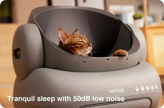 M1 Large Low noise Odor Eliminator App Control Intelligent Electric Self Cleaning Smart Automatic Cat Litter Box