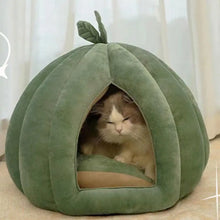 Enclosed Cat Nest Winter Warm Cat Bed Pumpkin Shape Pet Sleeping House for Cats Comfortable Washable Cat Sleeping Bed Pet Supply