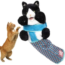 2/1pcs Cats Puppet Wrestler,Cat sumo Wrestler Toy Interactive Play Cat Plush Animal Toy With Sturdy Padding Cat Wrestling Gloves