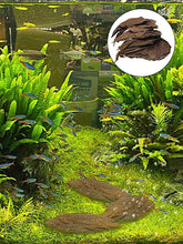 Catappa Leaf Betta Shrimp Leaves Aquarium Almond Leaf Lower pH Improve Water Quality Level Water Conditioner For Aquarium Turtle