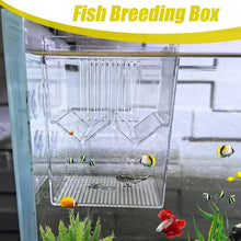 Aquarium Breeder Box With Suction Cups Floating Aquarium Acclimation Hatchery Incubator Guppy Betta Fish Isolation Box