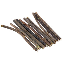 10/20/30/50Pcs Natural Silvervine Catnip Cat Chew Toy Suit Silvervine Cat Snacks Stick Safety Molar Toothpaste Sticks Pet Supply