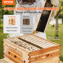 SucceBuy Bee Hive Deep Box Starter Kit 100% Beeswax Coated Natural Cedar Wood Langstroth Beehive Kit Transparent Acrylic