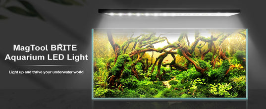 Brite Series Auto Aquarium LED Light with App-Controlled RGB+W LEDs, Custom Sunrise/Sunset Colors in Manual/Auto/Custom Modes