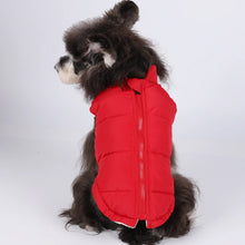 Winter Dog Clothes For Small Dog Warm Pet Dog Coat Jacket Adjustable Padded Vest Puppy Outfit Yorkie Chihuahua Apparel Clothing