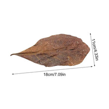 Aquarium Almond Leaves Catappa Leaves Aquarium Betta Fish Leaves Shrimp Fish Tank Accessories Creates Rainforest Environment