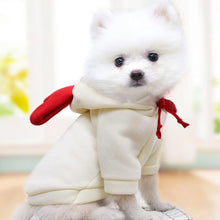 Winter Warm Cotton Dog Clothes Cute Frog Solid Hoodies Fleece Pet Dog Jacket Coat For French Bulldog Chihuahua Dog suit