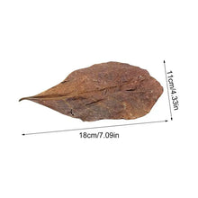 Aquarium Almond Leaves Catappa Leaves Aquarium Betta Fish Leaves Shrimp Fish Tank Accessories Creates Rainforest Environment