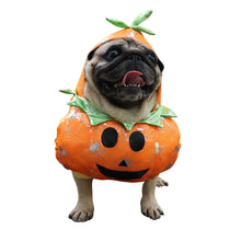Dog Clothes Halloween Funny Pet Pumpkin Costume Pet Cosplay Special Events Apparel Outfit Dog Cute Costumes Clothing