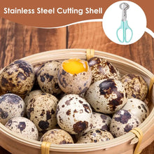 Multifunction Quail Egg Scissor Bird Cutter Opener Stainless Steel Quail Egg Peeler Machine Kitchen Tool Clipper Cigar Cracker