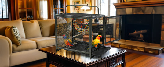 Heavy Duty Wrought Iron Bird Cage Travel Carrier Cage with Handle Wooden Perch for Parrots Canaries Budgies Lovebirds Cockatiels