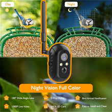 AI Smart Bird Feeder Camera with 64G Card,1080P HD AI Identify Bird Species,Hummingbird Feeder,Bird House with 7W Solar Panel
