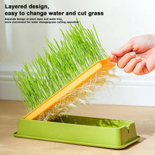 Cat Grass Planter Layered Cat Plant Soilless Convenient Cat Grass Kit 4 Styles Pet Supplies Multifunctional For Veterinary