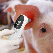 Pet Dog Cat Ear Digital Thermometers Pet Thermometers Animal Measuring Non-Contact Electronic Highly Accurate Pet Supplies