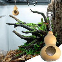 Jumping Spider House Jumping Spider Hiding Nest With Magnetism Natural Gourds Jumping Spider Enclosure For Jumping Spiders