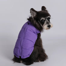 Winter Dog Clothes For Small Dog Warm Pet Dog Coat Jacket Adjustable Padded Vest Puppy Outfit Yorkie Chihuahua Apparel Clothing