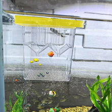 Aquarium Breeder Box With Suction Cups Floating Aquarium Acclimation Hatchery Incubator Guppy Betta Fish Isolation Box