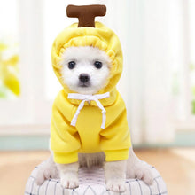 Winter Warm Cotton Dog Clothes Cute Frog Solid Hoodies Fleece Pet Dog Jacket Coat For French Bulldog Chihuahua Dog suit