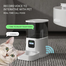 Iseebiz 3L Automatic Pet Feeder With Voice Record Pets Food Bowl For Medium Small Dog Cat LCD Screen Dispensers 4 Times One Day