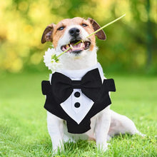 Dogs Tuxedo Wedding Party Suit Dog Formal Tuxedo with Bow Tie and Traction Rope Dog Outfit Wedding Attire Dog Tuxedo for Puppy