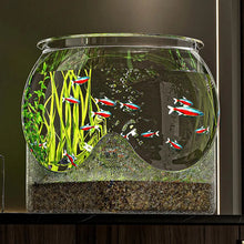 Clear Transparent Round Fish Tank Aquarium Micro-landscape Resistant Falling Desktop Ecologicals Fish Tank Ornamental Fish Decor