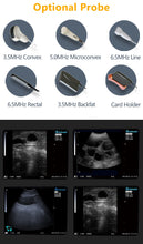 Portable Veterinary Ultrasound Scanner Vet B-Ultra Pregnancy Machine Handheld (B, BB, 4B, B+M, M) for Pig Sheep Cattle Horse Dog