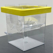 Aquarium Breeder Box With Suction Cups Floating Aquarium Acclimation Hatchery Incubator Guppy Betta Fish Isolation Box