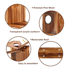 Garden Tree Squirrel Feeder Wood House Picnic Table Food Feeding Station Box