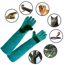 Animal Anti-Bite Gloves Durable Leather Protective Handling Gloves 45/60cm Length Cutting-proof And Anti-thorn Pet Handling Tool