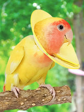 Soft Bird Collars Parrot Anti Bite Collar Breathable Anti Bite Cone Collar Soft Protective Collar Comfortable Soft Neck Collar