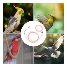 Bird Flying Training Rope Lightweight Pet Parrot Rope For Outdoor Flying Biting-Resistant Bird Training Toy With Ankle Foot Ring