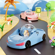 Hamster Running Ball Small Pet Toy Car Exercise Wheel Funny Small Pet Transparent Ball for Hamsters Ferret Small Animal