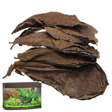 Aquarium Almond Leaves Catappa Leaves Aquarium Betta Fish Leaves Shrimp Fish Tank Accessories Creates Rainforest Environment