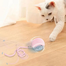 Cat Interactive Ball Toys USB Rechargeable Automatic Rolling Ball Funny Cat Toys Fast Rolling Ball for Indoor Cat Kitten