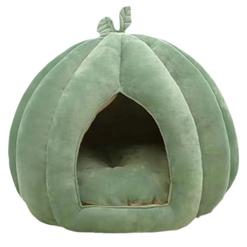 Litter Box