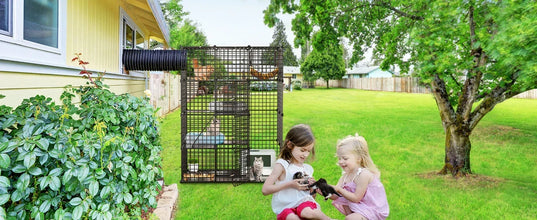 4-Tier Indoor Cat Enclosure with Hammock - Large Metal Wire Playpen Kennel for 1-3 Cats