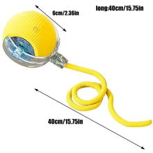 Automatic Rolling Ball Cat Interactive Ball Toy With Tail Rechargeable Smart Pet Interactive Toy Intelligent Mouses For Cat
