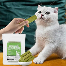 Cat Grass Sticks 8 Sticks Cat Chewing Snacks Freeze-Dried Cat Snack Time Treats Flavored Teeth Cleaning Treats For Keeping Cat