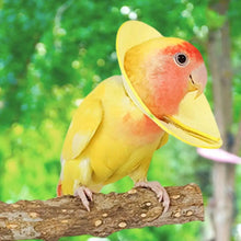Soft Bird Collars Parrot Anti Bite Collar Breathable Anti Bite Cone Collar Soft Protective Collar Comfortable Soft Neck Collar