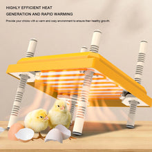 15W Electric Chick Brooder Heating Plate with Acrylic Plate Ease of Cleaning Adjustable Height and Angle for Chicks