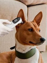 Pet Dog Cat Ear Digital Thermometers Pet Thermometers Animal Measuring Non-Contact Electronic Highly Accurate Pet Supplies